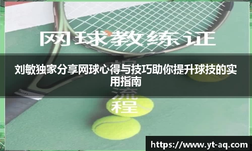 球速体育官方